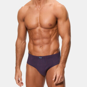 Pack 3 slips Abanderado AS00080 estampado azul y vino vista frontal